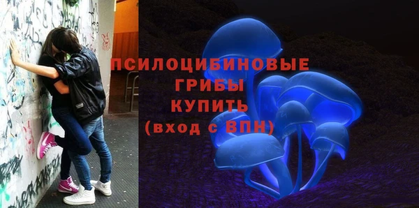 таблы Алексеевка