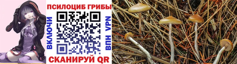 Псилоцибиновые грибы GOLDEN TEACHER  hydra вход  Алексин  наркошоп 